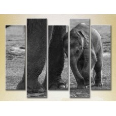 Картина Rainbow Polyptych Baby Elephant (2224625)