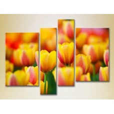 Картина Rainbow Polyptych Yellow red tulips (2932279)