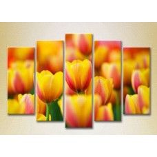 Картина Rainbow Polyptych Yellow red tulips 03 (2932808)