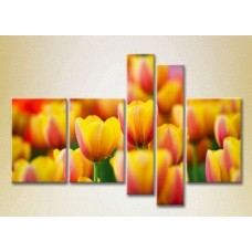 Картина Rainbow Polyptych Yellow red tulips 05 (2932813)