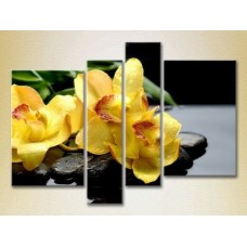 Картина Rainbow Polyptych Yellow orchids on stones (2932283)