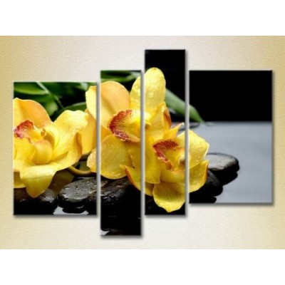 Картина Rainbow Polyptych Yellow orchids on stones (2932283)