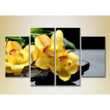 Картина Rainbow Polyptych Yellow Orchids on Stones 01 (2932284)