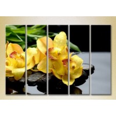 Картина Rainbow Polyptych Yellow Orchids on Stones 02 (2932812)