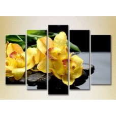 Картина Rainbow Polyptych Yellow Orchids on Stones 03 (2932817)