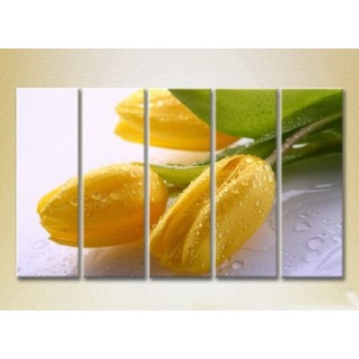 Картина Rainbow Polyptych Yellow Tulips 04 (2932815)