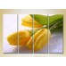 Картина Rainbow Polyptych Yellow Tulips 05 (2932371)