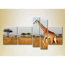 Картина Rainbow Polyptych Giraffe Kenya Africa (2224633)