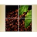 Pictură Rainbow Polyptych Grains coffee leaves (2220237)