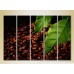 Картина Rainbow Polyptych Grains coffee leaves 05 (2224574)