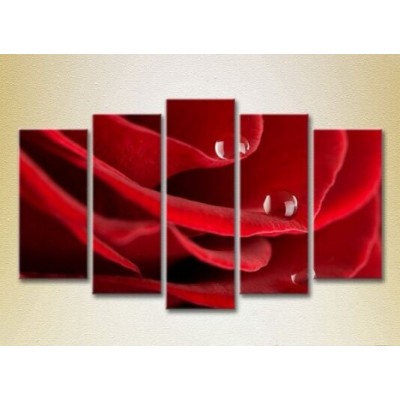 Картина Rainbow Polyptych Drops on a red rose 01 (2932816)