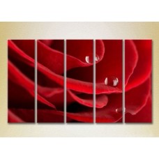 Картина Rainbow Polyptych Drops on a red rose 03 (2932832)