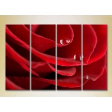 Картина Rainbow Polyptych Drops on a red rose 05 (2932287)