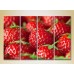 Pictură Rainbow Polyptych Strawberry close up 02 (2220249)