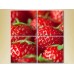 Картина Rainbow Polyptych Strawberry close up 03 (2220250)