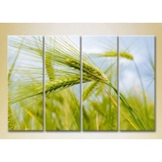 Картина Rainbow Polyptych Wheat Ears 01 (2932293)