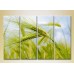 Картина Rainbow Polyptych Wheat Ears 01 (2932293)