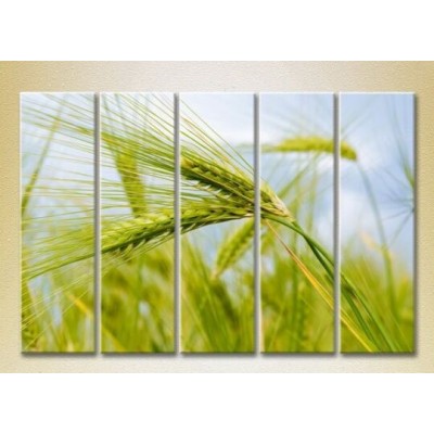 Картина Rainbow Polyptych Wheat Ears 02 (2932820)