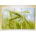 Картина Rainbow Polyptych Wheat Ears 02 (2932820)