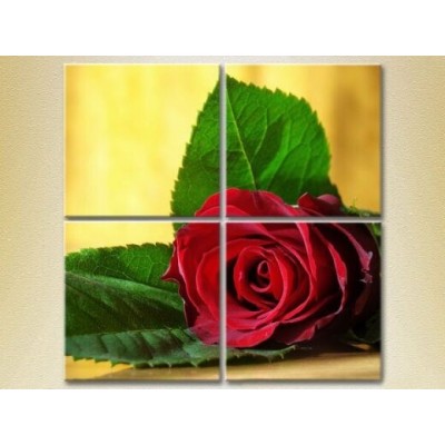 Pictură Rainbow Polyptych Red Rose (2932294)