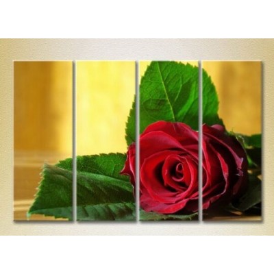 Pictură Rainbow Polyptych Red Rose 01 (2932295)