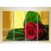 Pictură Rainbow Polyptych Red Rose 01 (2932295)