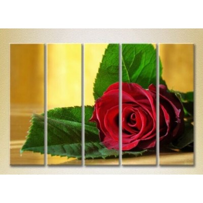 Картина Rainbow Polyptych Red Rose 02 (2932822)