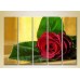 Картина Rainbow Polyptych Red Rose 02 (2932822)