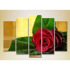 Картина Rainbow Polyptych Red Rose 03 (2932823)