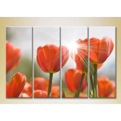 Pictură Rainbow Polyptych Red Tulips 01 (2932297)