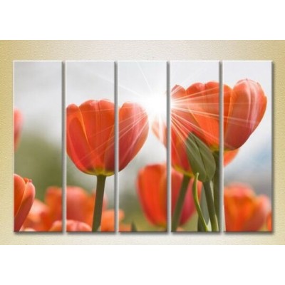 Pictură Rainbow Polyptych Red Tulips 02 (2932824)