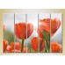 Pictură Rainbow Polyptych Red Tulips 02 (2932824)