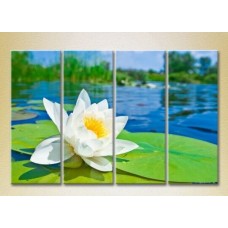 Pictură Rainbow Polyptych Water Lily (2932298)