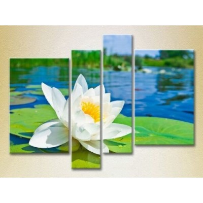 Pictură Rainbow Polyptych Water Lily 01 (2932306)