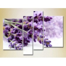 Pictură Rainbow Polyptych Lavender (2932300)