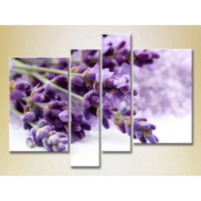 Pictură Rainbow Polyptych Lavender (2932300)