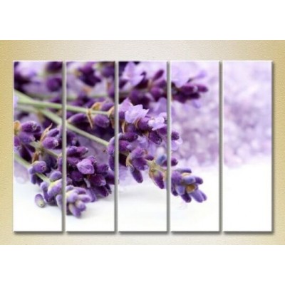 Картина Rainbow Polyptych Lavender 03 (2932826)