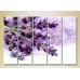 Картина Rainbow Polyptych Lavender 03 (2932826)