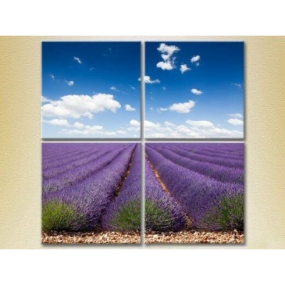 Pictură Rainbow Polyptych Lavender field (2223682)