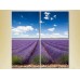 Pictură Rainbow Polyptych Lavender field (2223682)