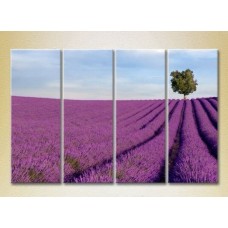 Pictură Rainbow Polyptych Lavender field with tree 01 (2223678)