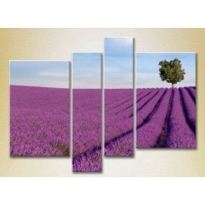 Pictură Rainbow Polyptych Lavender field with tree 02 (2223677)