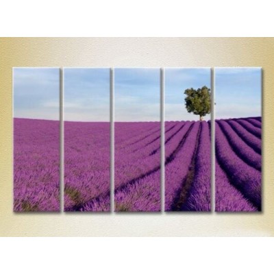 Pictură Rainbow Polyptych Lavender field with tree 03 (2224814)