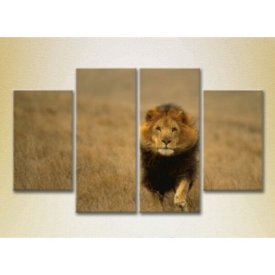 Pictură Rainbow Polyptych Lion hunts (2222225)