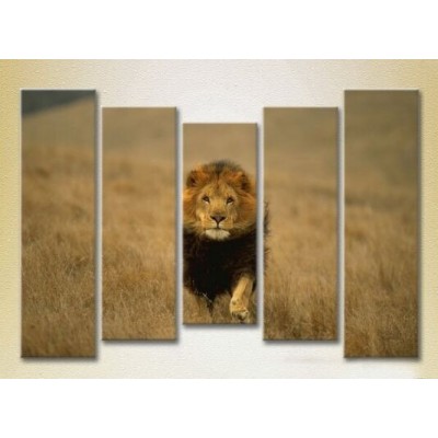 Pictură Rainbow Polyptych Lion Hunting 03 (2224630)