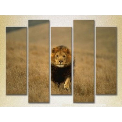 Pictură Rainbow Polyptych Lion Hunting 04 (2224631)