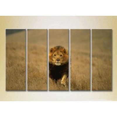 Pictură Rainbow Polyptych Lion Hunting 05 (2224645)