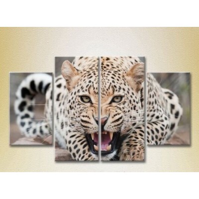 Картина Rainbow Polyptych Leopard (2222227)