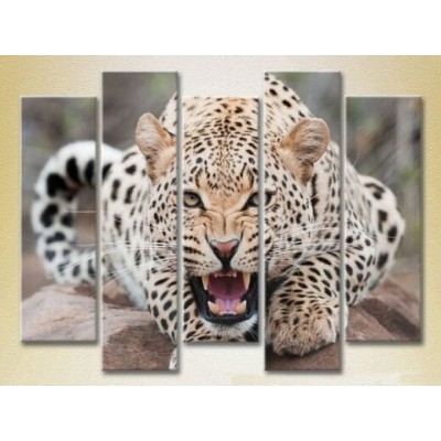 Картина Rainbow Polyptych Leopard 03 (2224643)