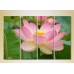 Картина Rainbow Polyptych Lotus pink (2932305)